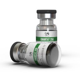 Enantat 250 - Testosterone Enanthate - Dragon Pharma, Europe Enantat 250 - Testosterone Enanthate - Dragon Pharma, Europe