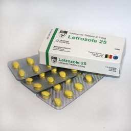 Letrozole 2.5 (Hilma) Letrozole 2.5 (Hilma)