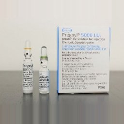 Pregnyl HCG 5000 IU