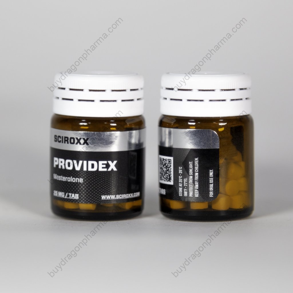 Providex Providex