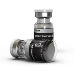 Testodex Enanthate 250 Testodex Enanthate 250