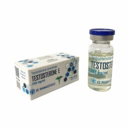 Testosterone E 10ml