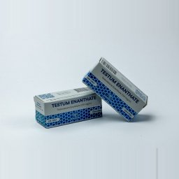 Testum Enanthate Testum Enanthate
