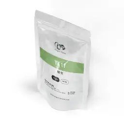 YK11